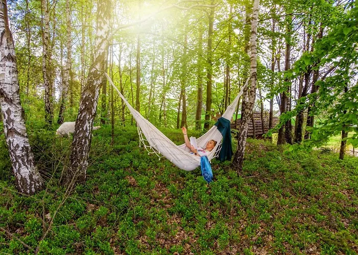 Otel Kiston Sulęczyno